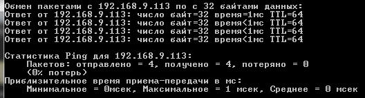 Как воспользоваться командой ping?